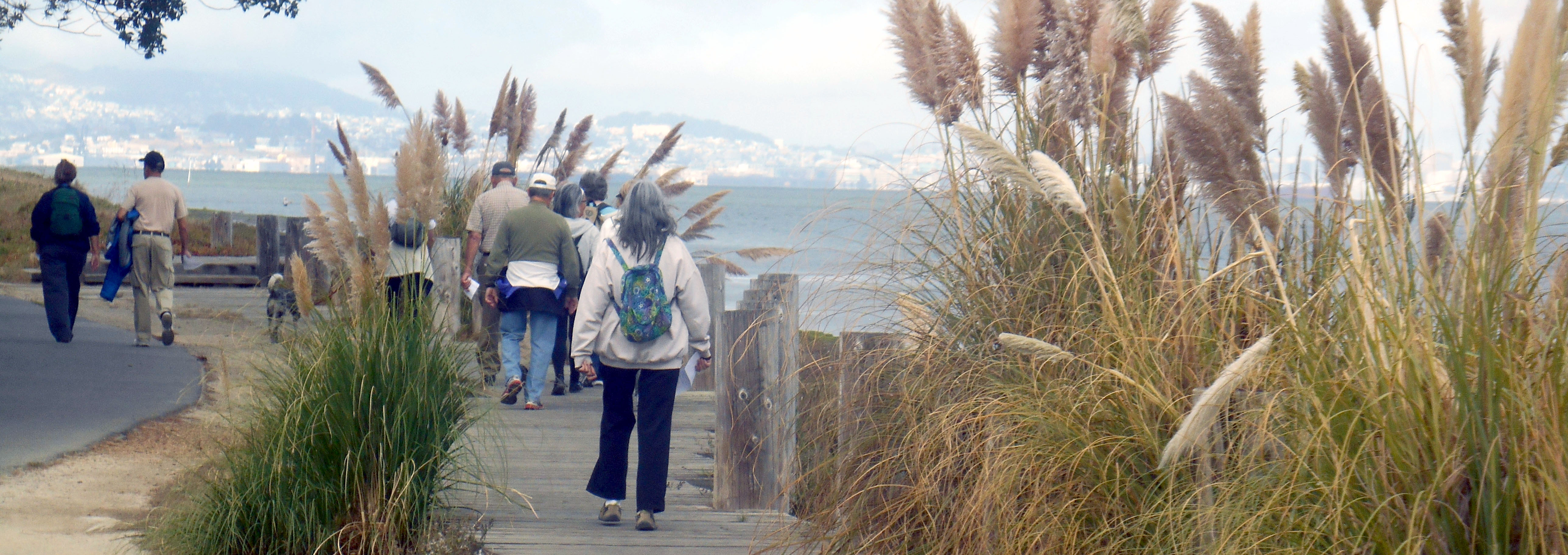 Alameda farm shoreline